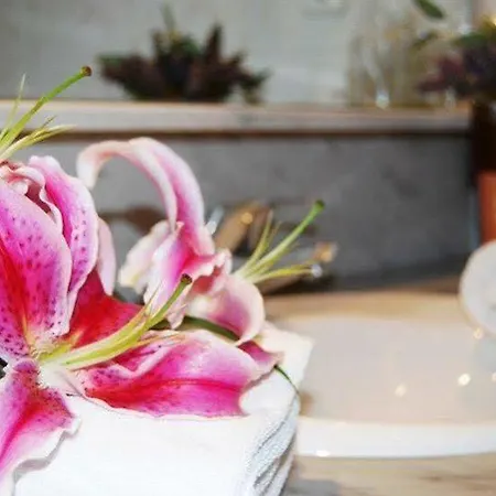 Alexandra Benstarhotelgroup Ταραγόνα